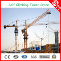 Qtz50 (4810) 4 Ton Self-Climbing Tower Crane at 29m